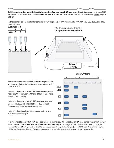 Bio gel electrophoresis lab answer guide. - First course in string theory solution manual.