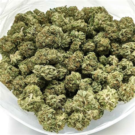 Bio jesus strain. Compare up to 5 different strains at one time. Find out what's best for you and by how much! View parent(s), flavors, effects, medicals and negatives information about each strain all in one page. 