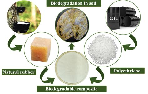 Bio-Additives for Rubber Composites - BioPowder