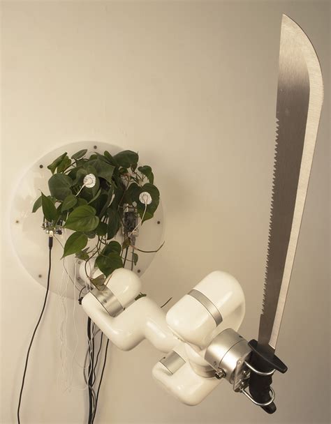 Bio-Tech Breakthrough: Living Plant Directs Industrial Robot Arm with Precision