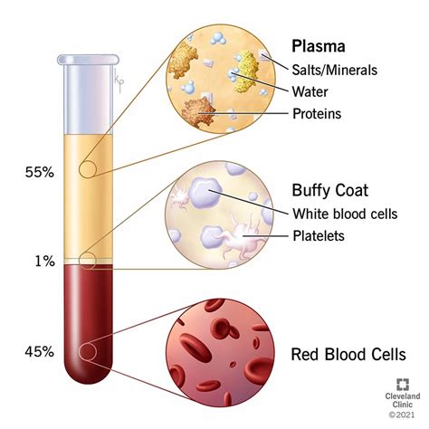Bio-blood components. Bio-Blood Components employees rate the overall compensation and benefits package 2.2/5 stars. What is the highest salary at Bio-Blood Components? The highest-paying job at Bio-Blood Components is a Project Manager with a salary of $101,302 per year (estimate). 