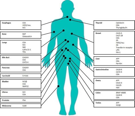 BioCentury - Mapping tumor markers