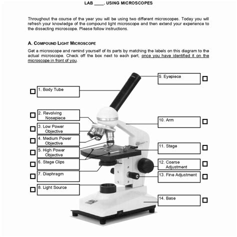 BioLab 101 - Microscope 3 (Worksheet) Key Terms and Questioners - Quizlet