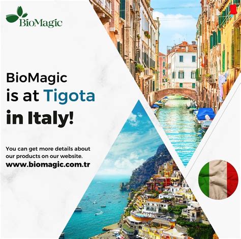 codini.rgarabwor.edu.pl. 