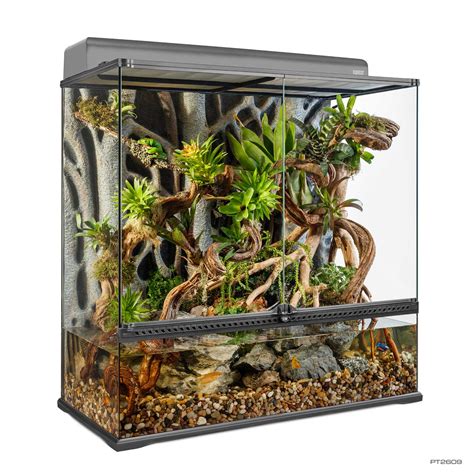 Bioactive terrarium canada.  Mar 1, 2026 · Amazon Alexa, virtual assis...