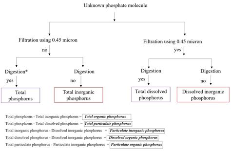 Bioavailability of different phosphorus forms in freshwater