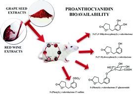 Bioavailability of red wine and grape seed …