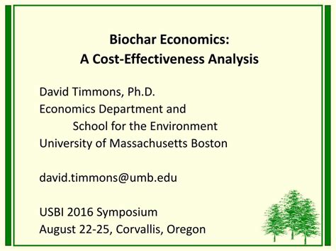 Biochar Economics: A Cost-Effectiveness Analysis