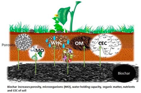 Biochar Potential in Improving Agricultural …