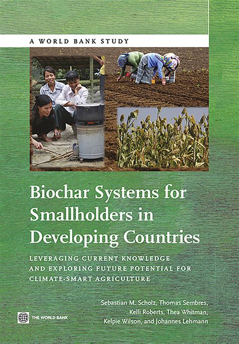 Biochar Systems For Smallholders In Developing Countries