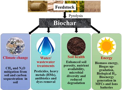 Biochar for Waste Management and Environmental Sustainability