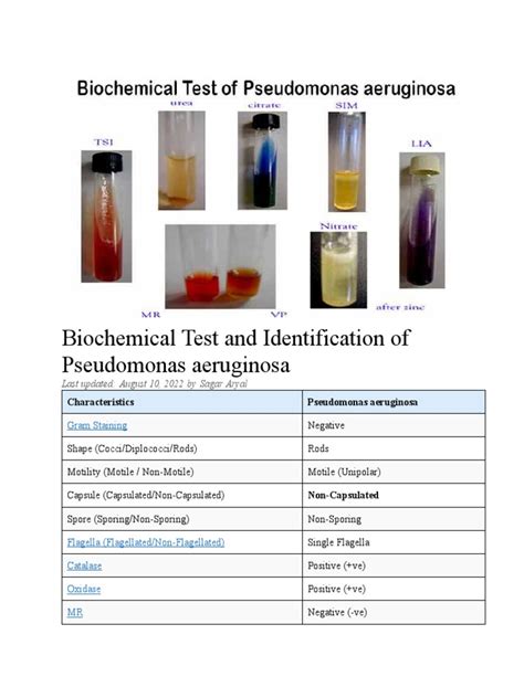 Biochemical test for pseudomonas aeruginosa pdf