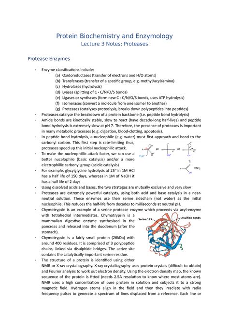 Biochemistry Enzymology Lecture Notes