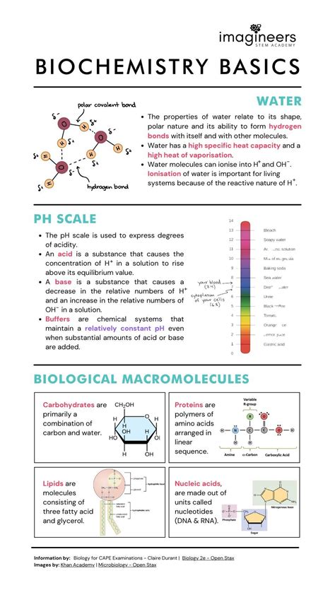 Biochemistry Study Guides