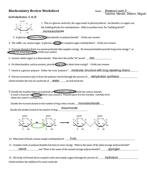 Biochemistry Worksheet Answers