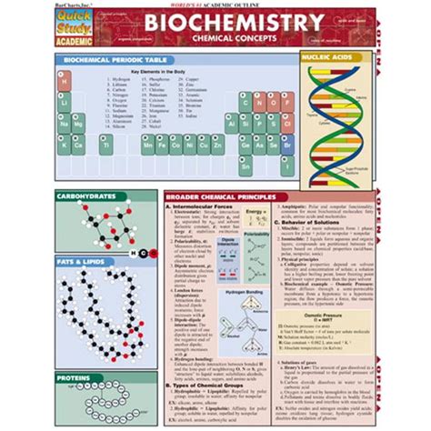 Full Download Biochemistry By Barcharts