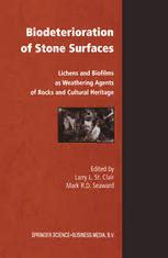 Biodeterioration of stone: a review - ScienceDirect