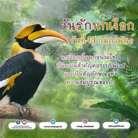 Biodiversity CHM Thailand (@ThBiodiversity) / Twitter