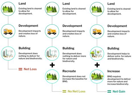 Biodiversity Net Gain (BNG) Thomson Environmental …