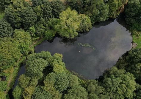 Biodiversity Net Gain for Groundwork Greater Manchester