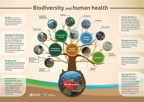 Biodiversity and Health - World Health Organization