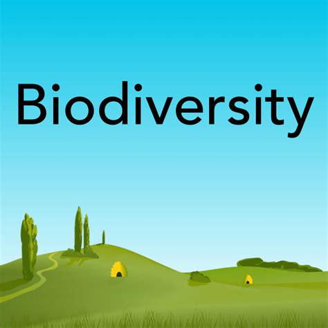 Biodiversity for kids KS1 and KS2 lessons by PlanBee