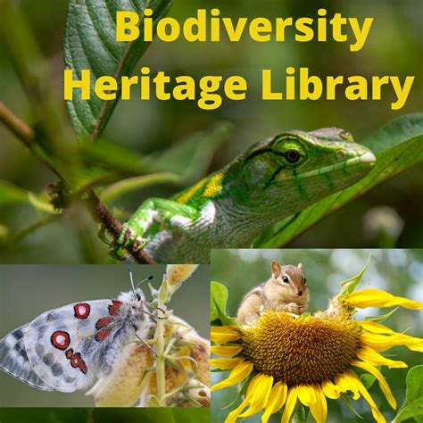 The Biodiversity Heritage Library works collaboratively to make biodiversity literature openly available to the world as part of a global biodiversity community. Biodiversity Heritage Library About Help FAQ. Please read BHL's Acknowledgment of Harmful Content. Browse by: Title; Author; Date; Collection; Contributor .... 