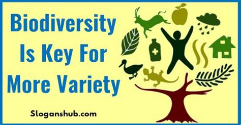 Biodiversity is key for more variety for better society