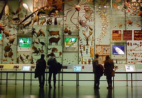 The Smithsonian’s National Museum of Natural History (NMNH) plays an important role in biodiversity genomics at the forefront of innovation and discovery in the 21st century. The Global Genome Initiative (GGI) represents the Museum’s commitment to lead the transformation of this revolutionary field. By launching GGI’s efforts to .... 