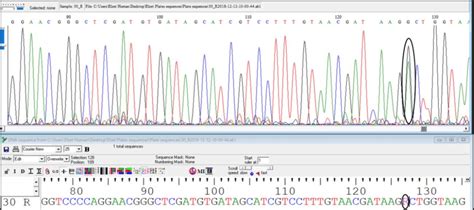 Bioedit reference. .  <a href=https://dispatchcenter.space/n6brfj3p/index.ph...