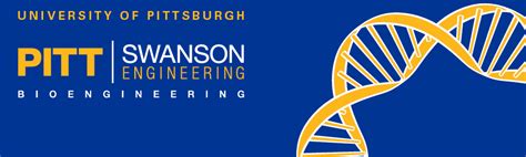 Bioengineering Academics - University of Pittsburgh