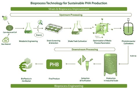 Bioengineering Free Full-Text Impact of the Process …