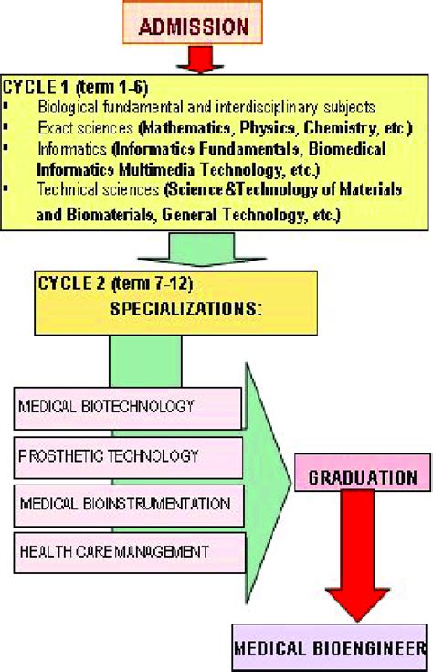 Bioengineering curriculum. Things To Know About Bioengineering curriculum. 