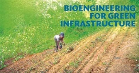 Bioengineering for Green Infrastructure - Asian Development Bank