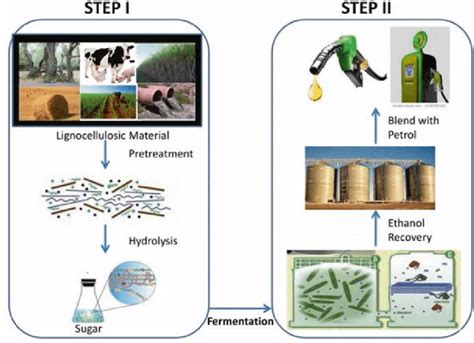 Bioethanol from lignocellulosic biomass - PubMed