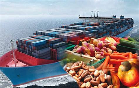 Biofem Ghana Ltd. Import data And Contact-Great Export Import