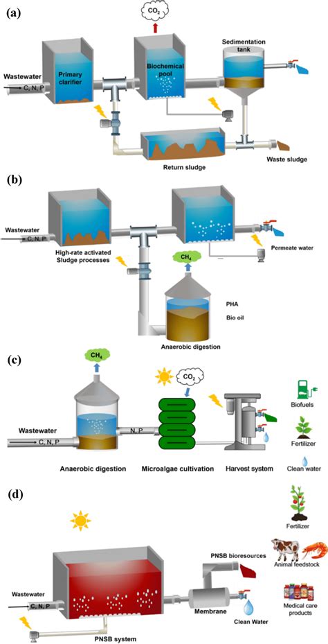 Biofilter in Water and Wastewater Treatment - ResearchGate