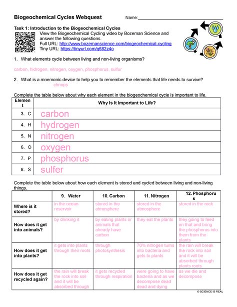 Biogeochemical Cycles Webquest Worksheet