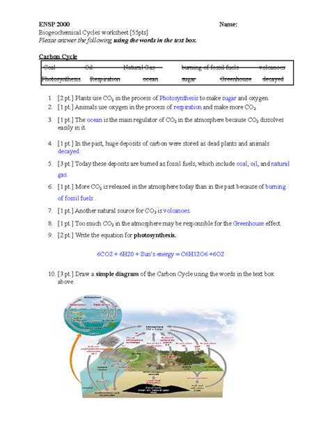 Biogeochemical cycles Worksheet ENSP 2000 Name Biogeochemical