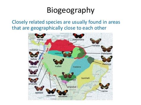 Biogeography definition evolution