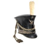 Biography and Credentials - Troiani Collector