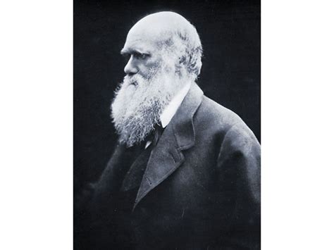 Biography charles darwin wikipedia englisch