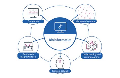 Bioinformatics Analysis, Impacts & Examples - Study.com