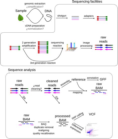 Bioinformatics Sequence And Genome Analysis