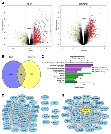 Bioinformatics analysis of differentially expressed genes and …