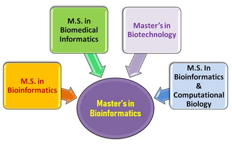 Bioinformatics masters programs. The Master of Science in Bioinformatics is focused on preparing students to take on research in one of four key areas: drug design, ... 