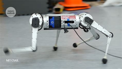 Bioinspired robots walk, swim, slither and fly - nature.com