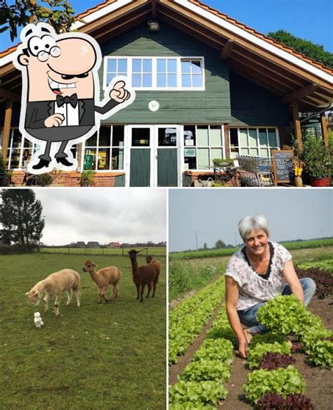 Bioland Hof Bolten (Hofladen und Landwirtschaft) - Bioladen in Dam