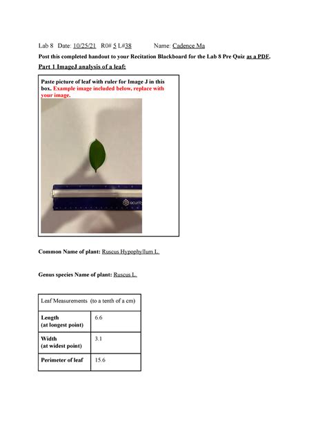 Biological 3 To Explorations Lab Answers