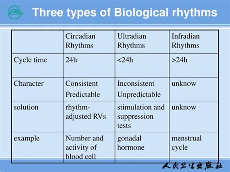 Biological Rhythms: Types, Disorders, and Treatments - Healthline